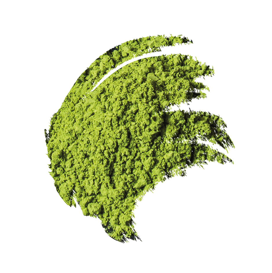 Matcha_photo