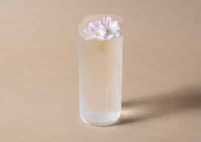 Etsu Sakura Gin & Tonic