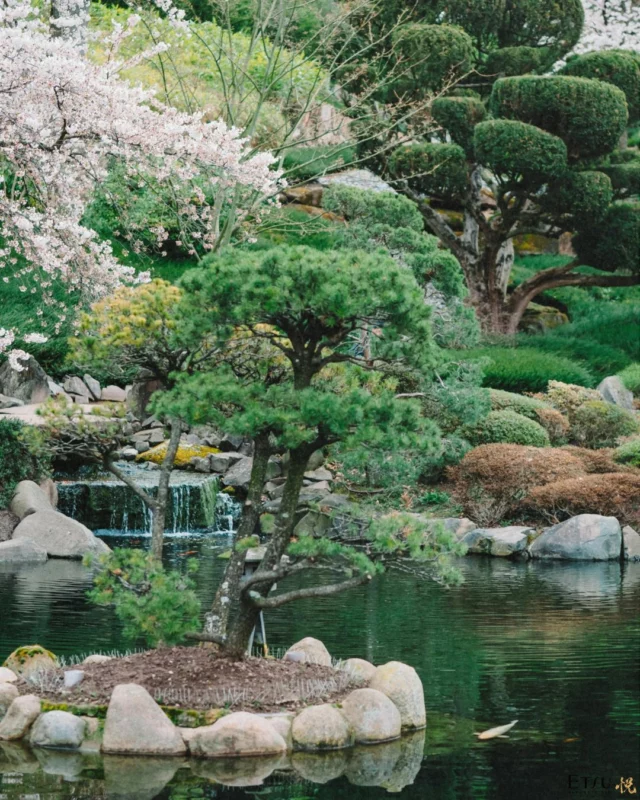 On Midori no Hi (みどりの日), Japan celebrates its deep connection to nature, a perfect occasion to honour the spirit behind Etsu Sakura, a tribute to this philosophy. Inspired by Hanami and crafted in Honshū, it captures the spirit of nature, tradition, and Japanese refinement. A gin that tells a story, delicate, floral, unforgettable.

#etsugin #etsusakura #etsujourney #spiritofjapann
Drink responsibly.